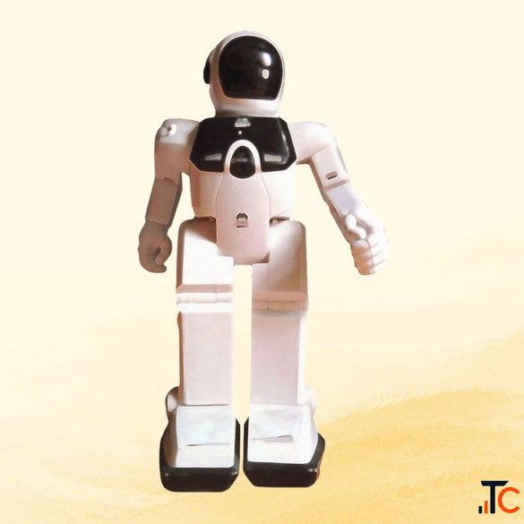 AI Humanoid Service Robot on Rent for Events