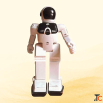 AI Humanoid Service Robot on Rent for Events