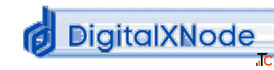 IT Staffing Digital Marketing Solutions DigitalXNode