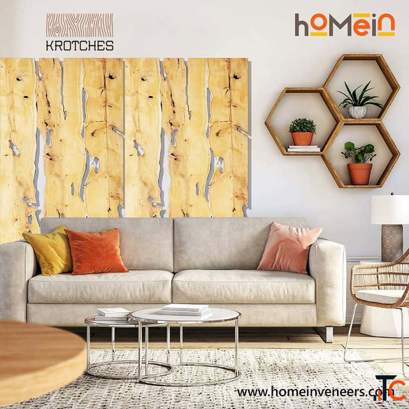 Natural Wood Veneers Suppliers in India - Homein Veneers