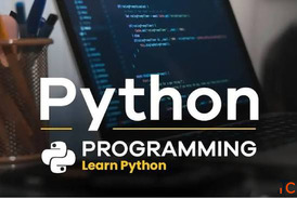 Top Python Course in Rohini for Beginners Professionals