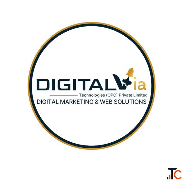 SEO Services India - Professional SEO Agency DigitalVia