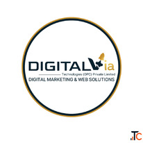 SEO Services India - Professional SEO Agency DigitalVia