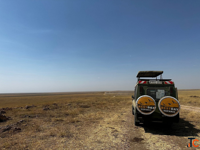 Bestday Safaris