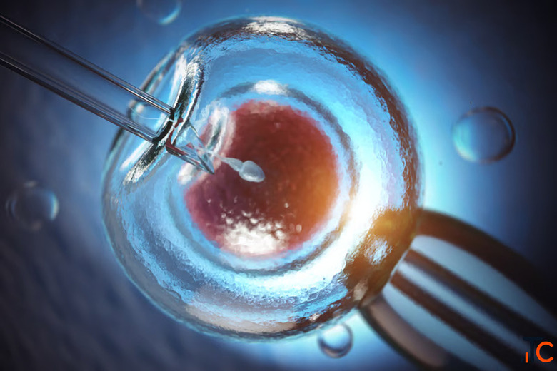 Why should you book an IVF consultation Patna with your fertility doctor before starting treatment