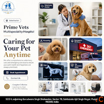 Pet Doctor in Mohali Prime Vets Multispeciality Hospital