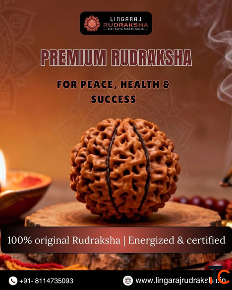 Authentic Rudraksha Shop in Hyderabad