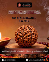 Authentic Rudraksha Shop in Hyderabad