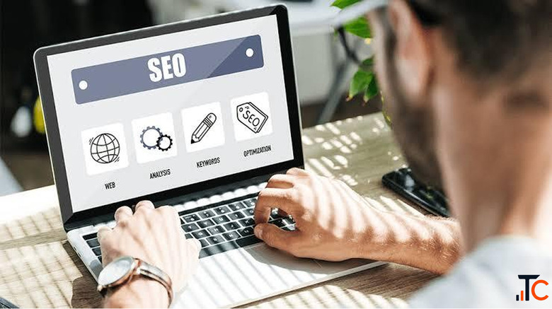 Learn Practical SEO Skills with the Best SEO Course in Nabha