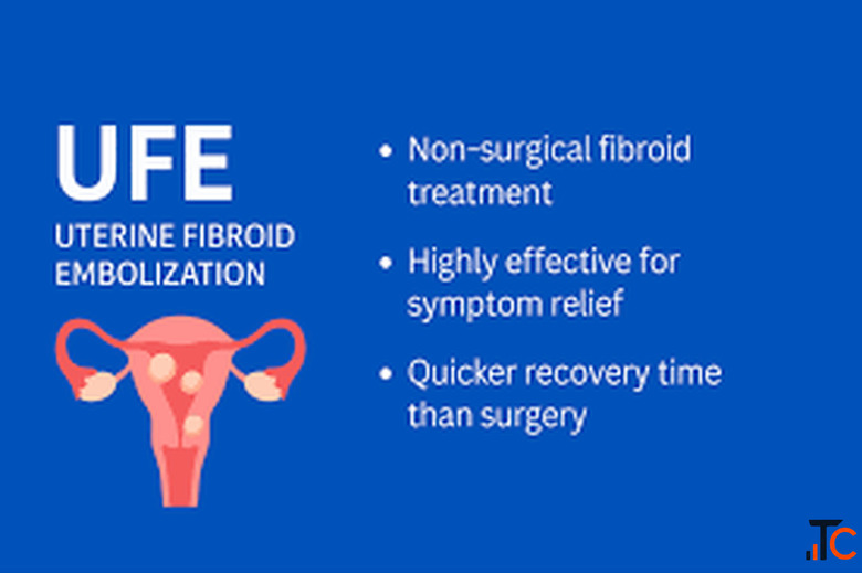 Uterine Fibroid Embolization Cost in India - Know the Treatment Expenses
