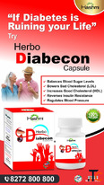 Hashmi Herbo Diabecon Capsule 20 Capsules Herbal Blood Sugar Support