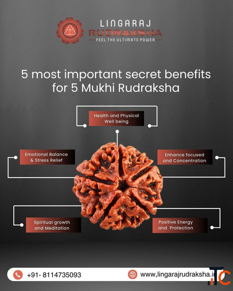 Premium Rudraksha Shop in Bangalore