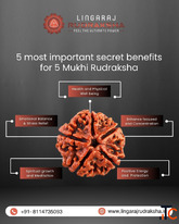 Premium Rudraksha Shop in Bangalore