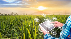 Agriculture Software Solutions Bangalore Agri Tech Companies