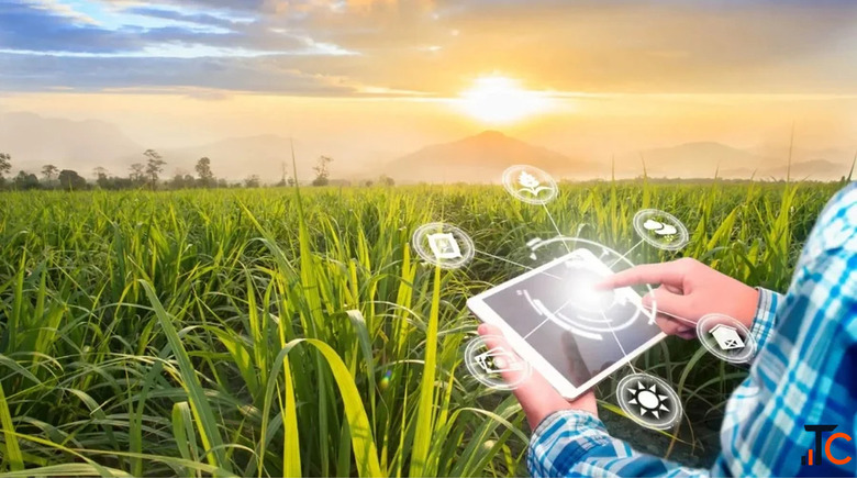 Best ERP Software for Agriculture Industry Agrica