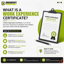 Career Readiness Begins with Organized Employment Documentation