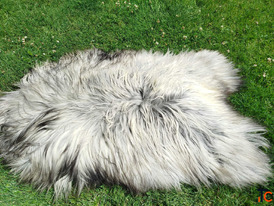 Fluffy Heidschnucke sheepskins