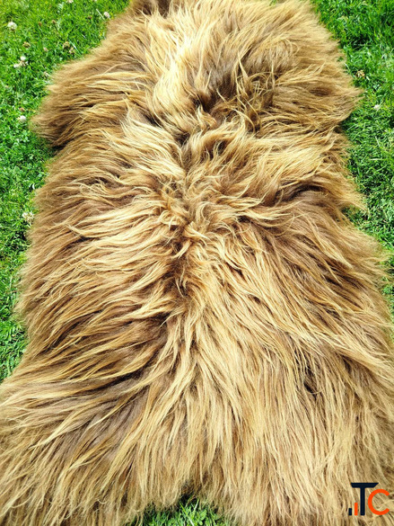 Fluffy Heidschnucke sheepskins