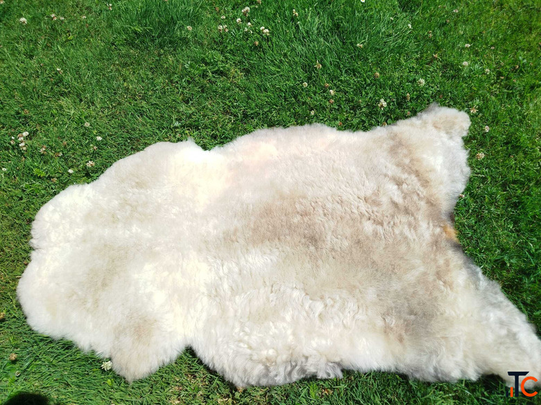 Swedish sheepskins