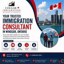 Best Immigration Lawyer Windsor for Canadian Immigration