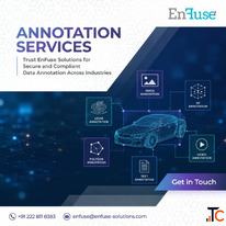 Trust EnFuse for Secure and Compliant Data Annotation Services