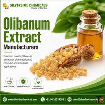 Top Olibanum Extract Manufacturers - Silverline Chemicals