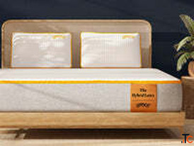 Buy King Size Mattress Online Premium Comfort by SleepyCat