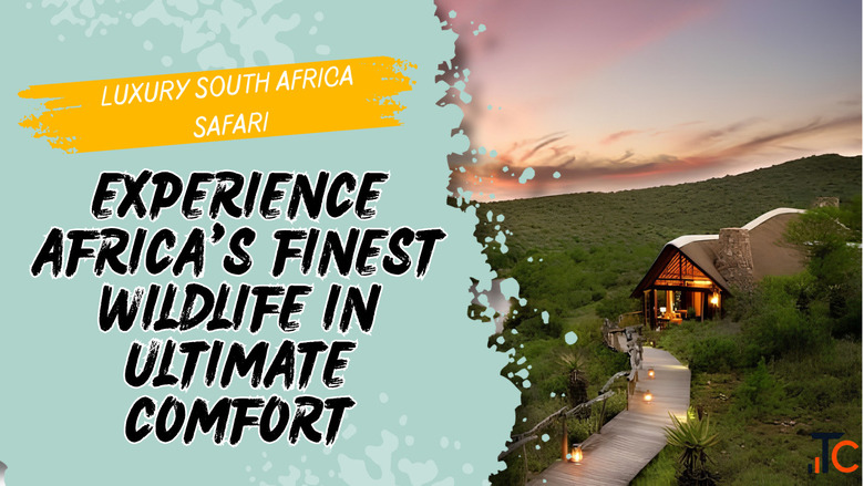 Book an Unforgettable Luxury South Africa Safari