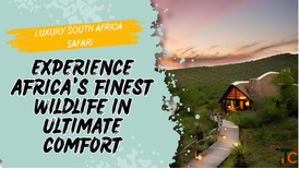 Book an Unforgettable Luxury South Africa Safari