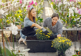 Gardening for Beginners in India - Start Your Green Journey