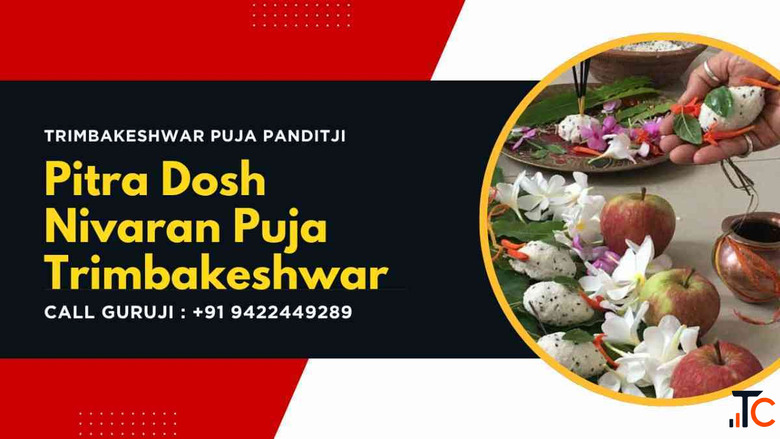 Pitra Dosh Nivaran Puja Remedies Kundali Check Effects Benefits Puja at Trimbakeshwar
