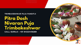 Pitra Dosh Nivaran Puja Remedies Kundali Check Effects Benefits Puja at Trimbakeshwar