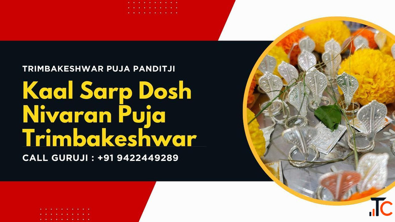 Kaal Sarp Dosh Puja in Trimbakeshwar