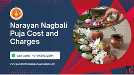 Narayan Nagbali Puja Cost And Charges