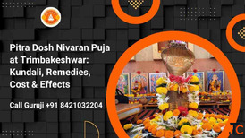 Pitra Dosh Nivaran Puja at Trimbakeshwar Kundali Remedies Cost Effects