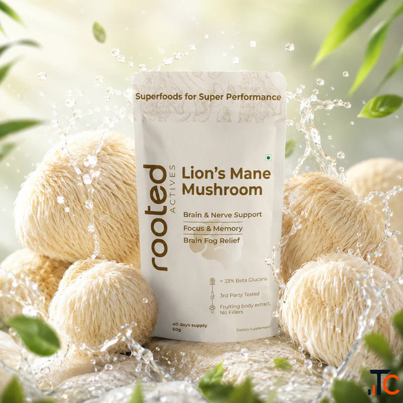 Lion's Mane Mushroom Extract Powder