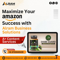 Alram Ecommerce Solution - Best ecommerce service