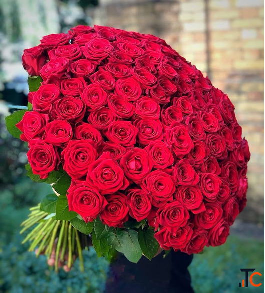 Flowers for Her - Send Her Flowers