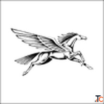Website Development Company Wings Design Studio