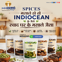 Food Grain Suppliers Navi Mumbai