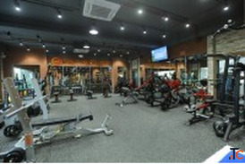 Best Fitness Centre in Andheri West for Strength Weight Loss Personal Training Why Not Fitness