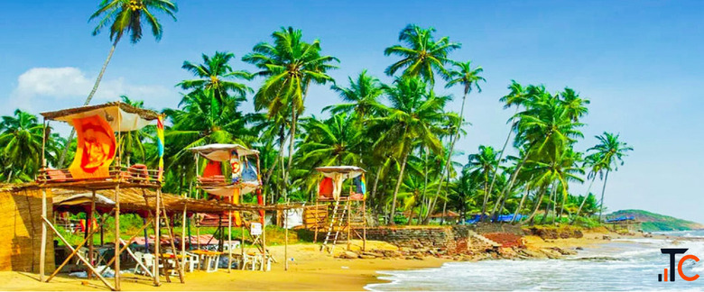 Well-Planned Goa Packages from Delhi for Stress-Free Holidays