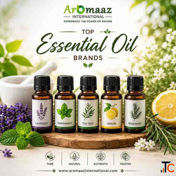 Top 5 Essential Oil Brands Best Essential Oil Brands in the World