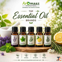 Top 5 Essential Oil Brands Best Essential Oil Brands in the World