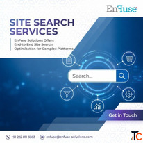 EnFuse Solutions Offers End-to-End Site Search Optimization for Complex Platforms