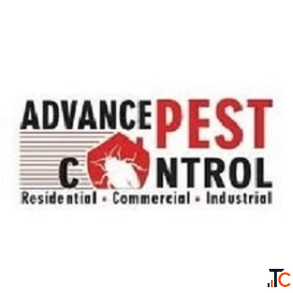 Bed bug control Vancouver