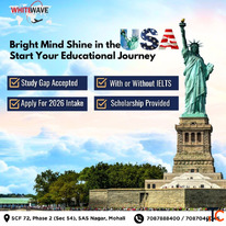 Best visa consultant in Mohali