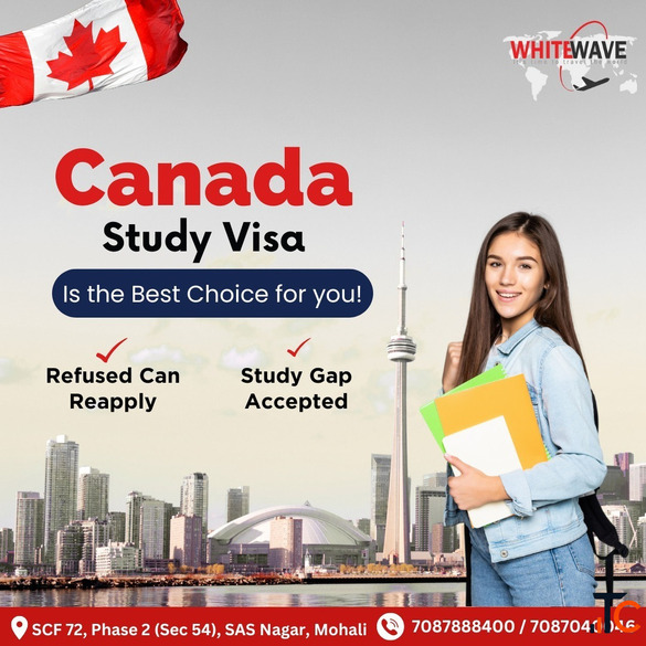 Best visa consultant in Mohali