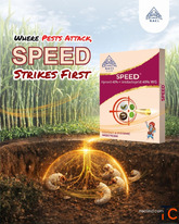 Best Insecticides for Effective Cotton Protection SPEED by NACL