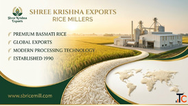 Trusted Basmati Rice Suppliers Delivering Excellence from Karnal